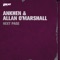 Next Page (Joost Van Der Vleuten Remix) - Anhken & Allan O'Marshall lyrics