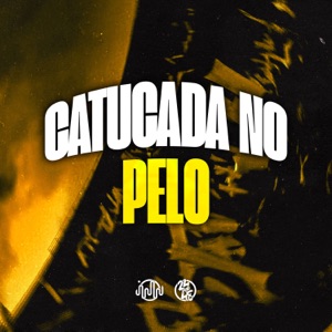 Catucada no Pelo