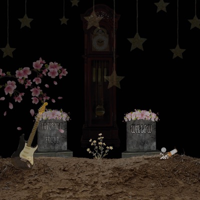 My Expiration Date Was 104 Days Ago