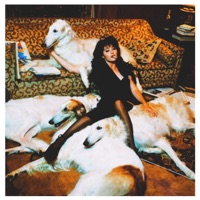 tygar - Single - okjett