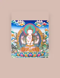 Next Level Meditationを聴いたり、ミュージックビデオを鑑賞したり、経歴やツアー日程などを確認したりしましょう！