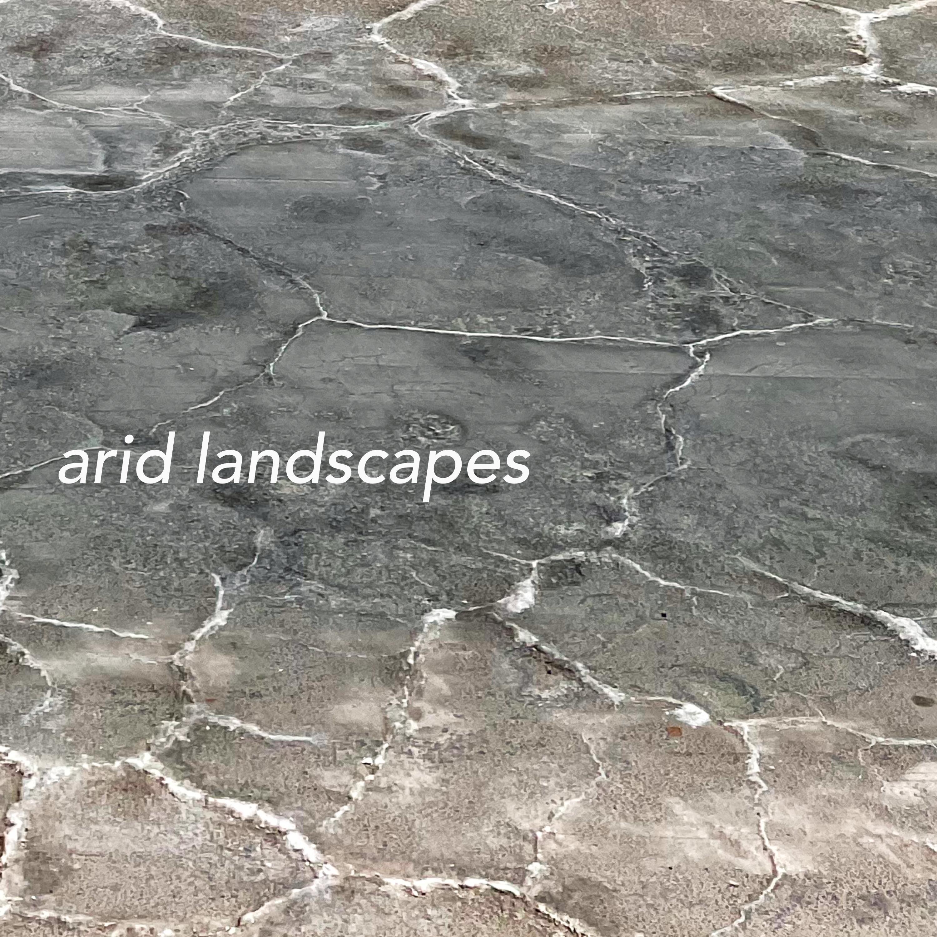 arid landscapes
