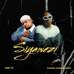 Siyawezi (feat. Stamina Shorwebwenzi)