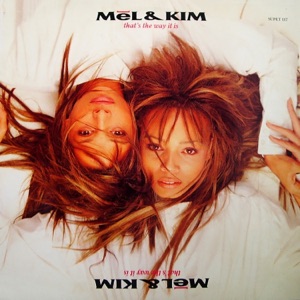 That's The Way It Is - Single