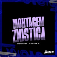 Montagem Znistica - Single - DJ FLAVIN ZL & Mc Fury SP