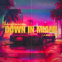 Down In Miami (feat. J. Sevad) - Single - Snapback08