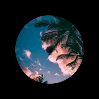 The Rain - Single - C3N6