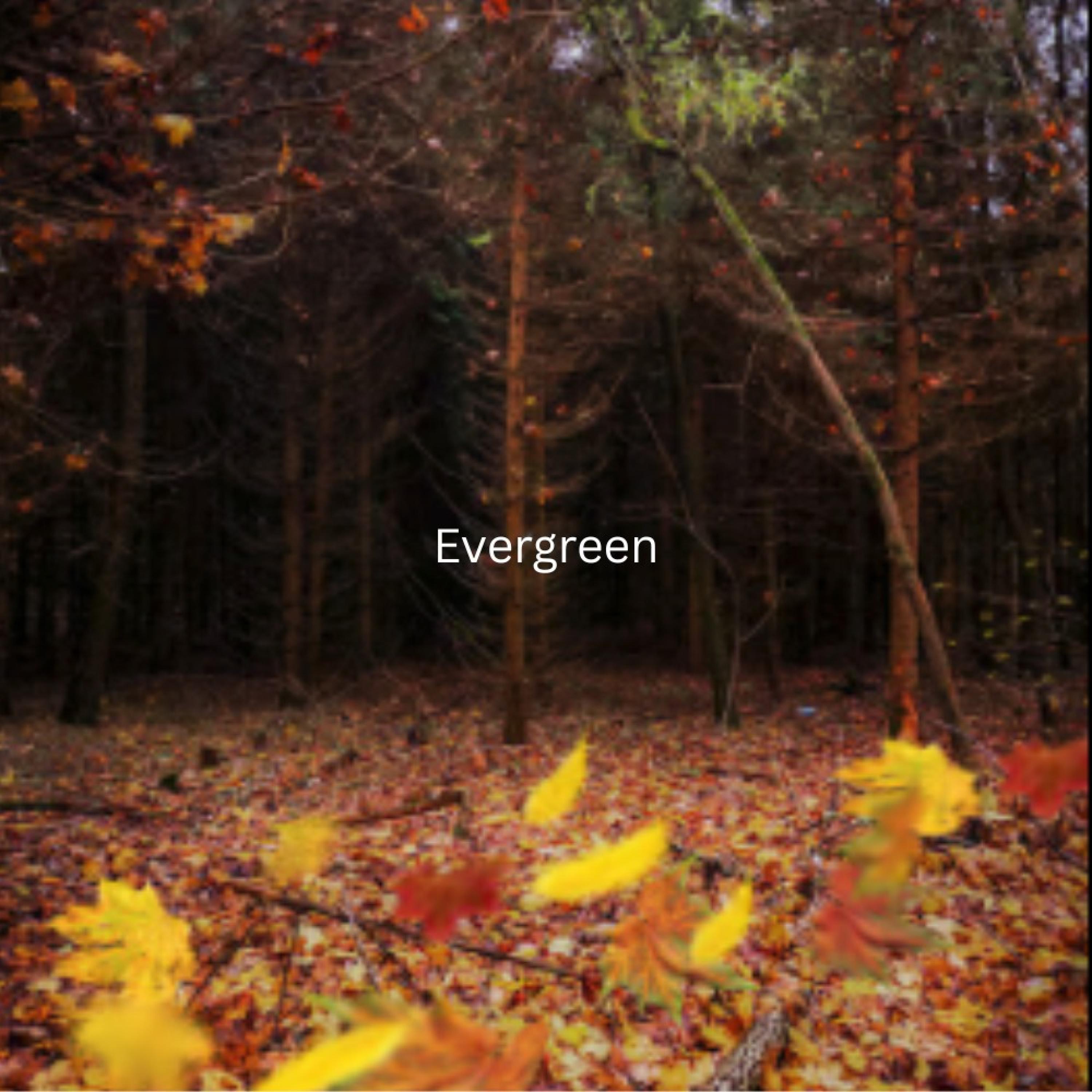 Evergreen (feat. Willy Wallace) - Single