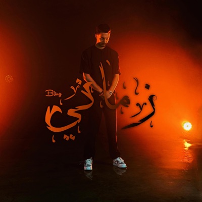 Zmeni - Single