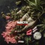 Adicto (feat. Doobie Free & Kalany The Producer) - Single