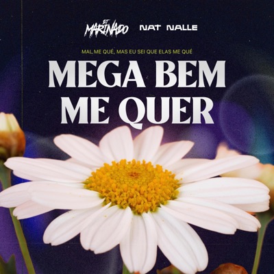 MEGA BEM ME QUER - Single