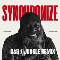 Synchronize (feat. Sarah Tobias & Dub Judah) [Flash Gordon Remix D&B / Jungle Remix] - Single - Andy Jamma