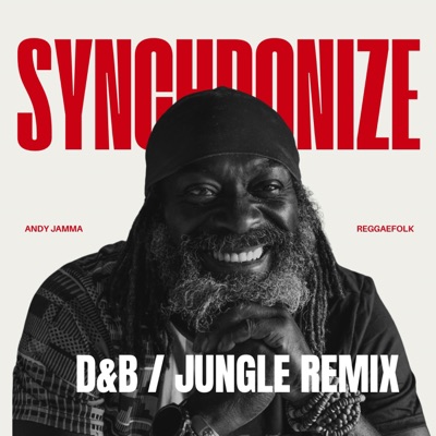 Synchronize (feat. Sarah Tobias & Dub Judah) [Flash Gordon Remix D&B / Jungle Remix] - Single