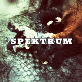 SPEKTRUM (feat. ONDRA) BLVCK BIRRD
