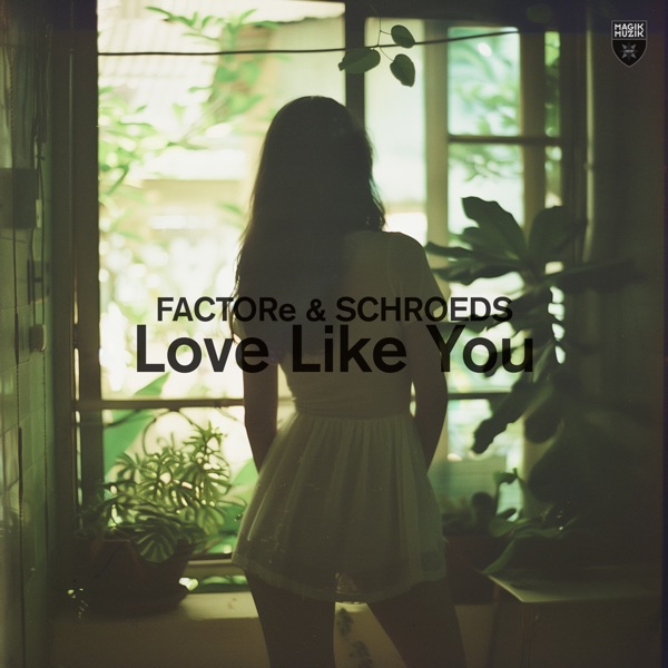 Love Like You - Single