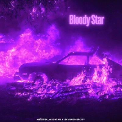 Bloody Star (feat. $xvenDivercit¥) - Single