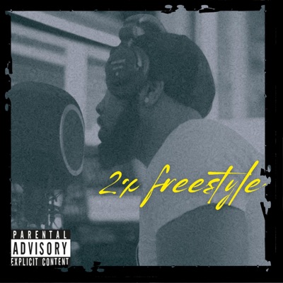 2x Fr33style - Single