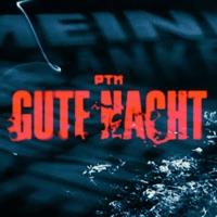 Gute Nacht - Single - PTK