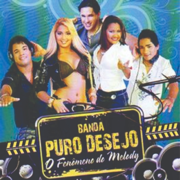 Novo Namorado - Banda Puro Desejo
