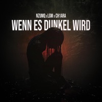 Wenn es dunkel wird - Single - NzumQ, LGM & CH1ARA