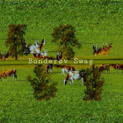 Bonderøv Swag (feat. legobygger123) - Single