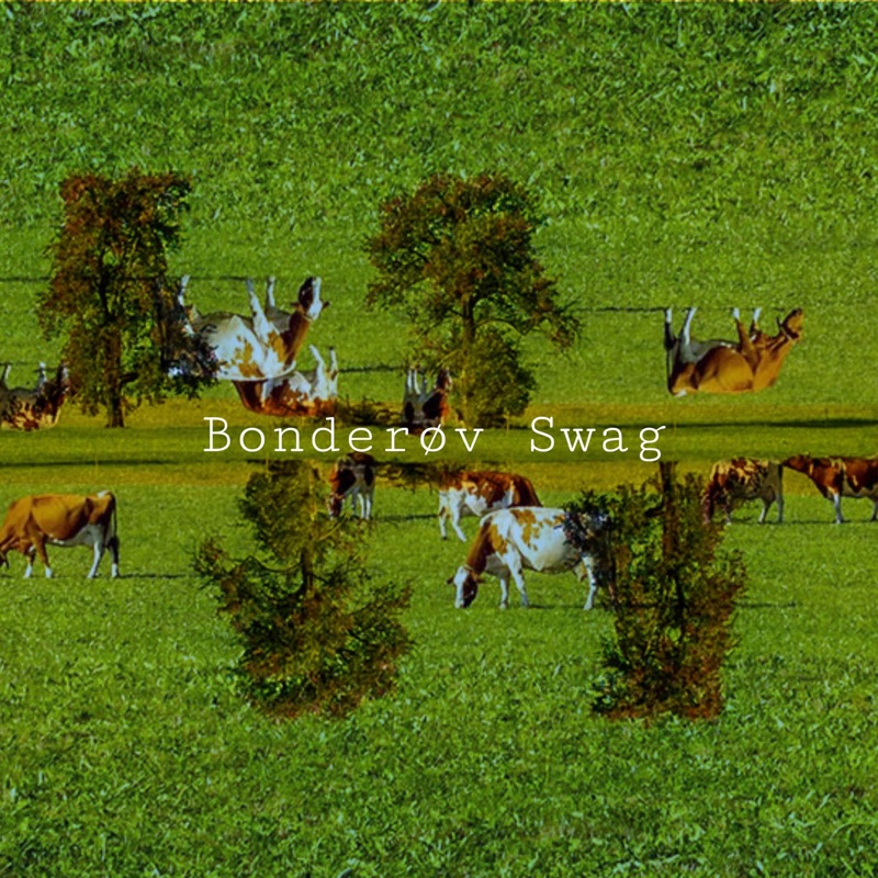 Bonderøv Swag (feat. legobygger123) - Single
