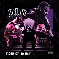 Now or Never - Lusaid