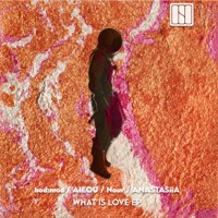 What Is Love (Extended Mix) - Single - Aieou & bod:mod