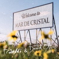 Mar de Cristal - Single - franvvi & David Otero