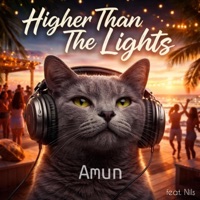 Higher Than The Lights (feat. Nils) - Single - Amun