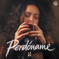 Perdóname - Single - Mandinga