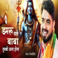 Damru Wale Baba - Single - Raj Pareek