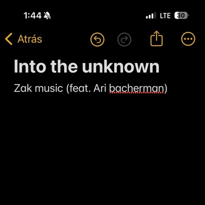 Into the unknown (feat. Ari Bacherman) - Single