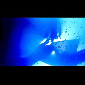 Легче дышать thot$14er