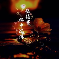 敬往事杯中沉浮 (相见时难别亦难语录) - Single - Han Xiao Qian