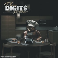 DIGIT$ (feat. Pete) - Single - T-Love
