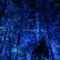 Aevum Sleep - Nxrthwave lyrics