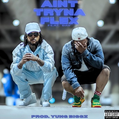 Ain't Tryna Flex (feat. Dav) - Single