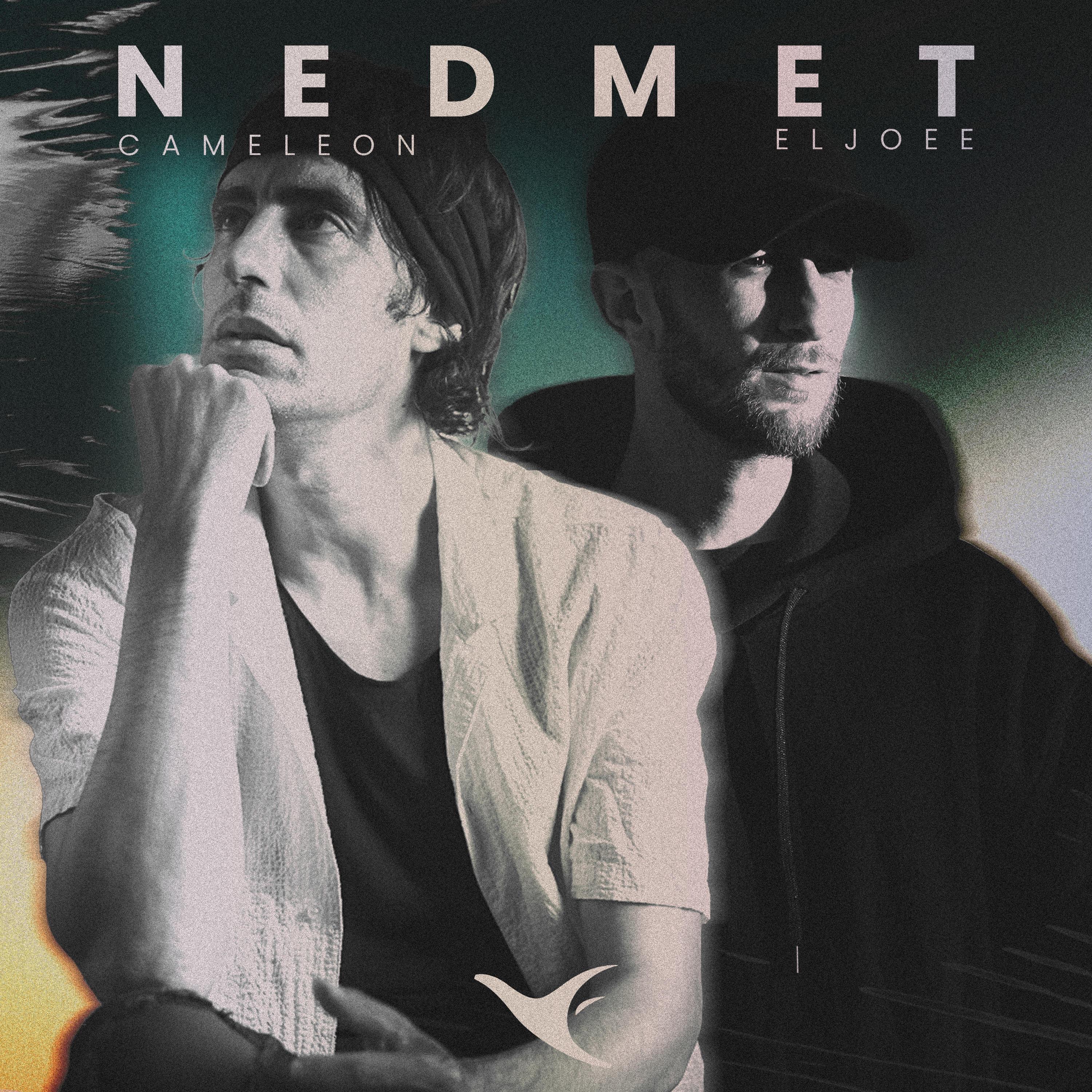 Nedmet (Remix) - Single