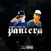 Negro Como La Pantera - Single - Chino Pacas & Calle 24