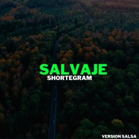 SALVAJE (SALSA) - Single - Shortegram