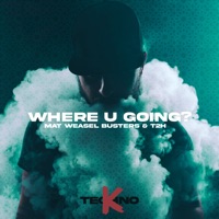 Where U Going? - Single - Mat Weasel Busters & T2H