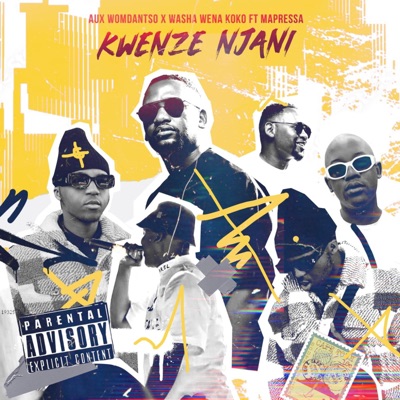 Kwenze Njani (feat. Mapressa) - Single