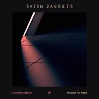 Through the Night (feat. David Harks)