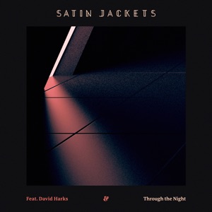 Through the Night (feat. David Harks) - Single