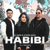 Habibi (feat. Gabriella) artwork