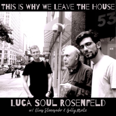 This Is Why We Leave The House (feat. Billy Mintz & Elias Stemeseder)