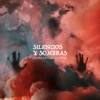 Silencios y sombras