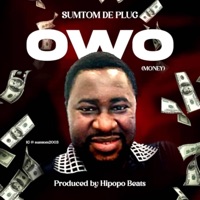 Owo Money - Single - Sumtom De Plug