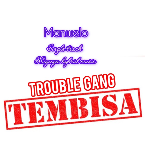 Tembisa Trouble gang (Manwelo) (feat. Njomani/boti prince/Dr Nhanha/President Manyikos/Xigaza hybrid music)